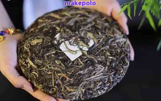 普洱茶餅定制與選購指南 從種植到茶餅的專業推薦